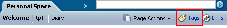 Page's Tags icon and link