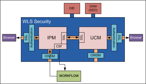 Graphic of Oracle I/PM Security
