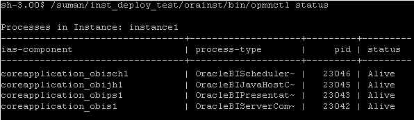 The OPMN status command displays system components status.