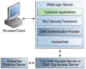 OAM Authentication for Web and non-Web Resources