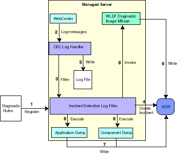 Description of Figure 13-2 follows