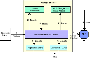 Description of Figure 13-3 follows