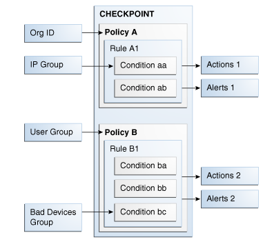 The policy's structure is shown.