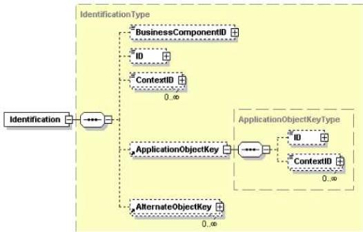 Structure of the Identification Type Element