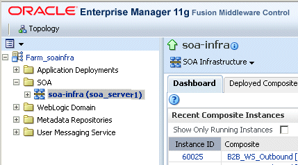 soa infra node