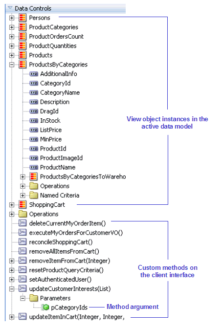 Image shows data model in data control palette