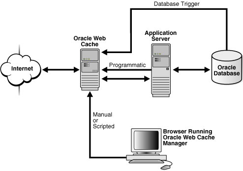 Description of Figure 7-1 follows