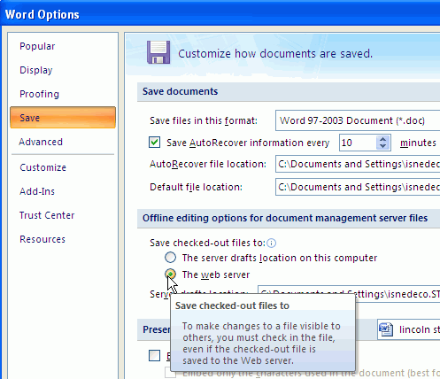 Word Options Dialog