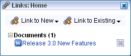 Document link on the Links drop-down menu
