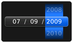 inputDate BB screenshot 3