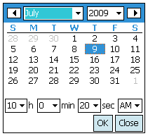 inputDate WM screenshot 4