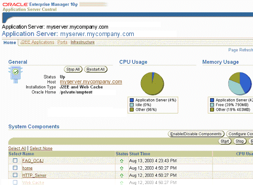 Application Server Control Instance Home page