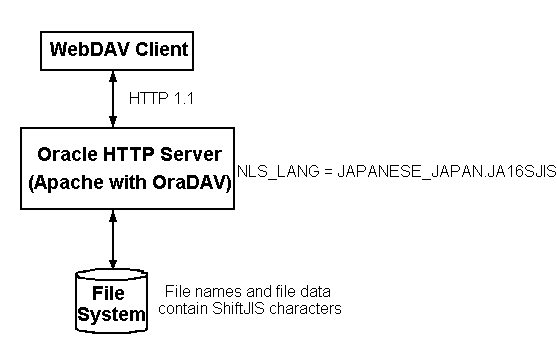 Text description of nlsfile.gif follows.
