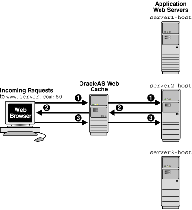 Description of owcag005.gif follows