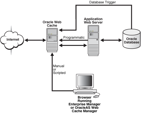 Description of owcag025.gif follows