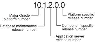 Example of an Oracle Release Number