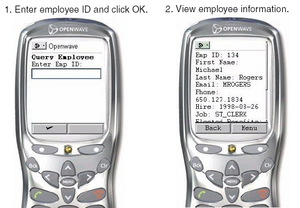 Description of intr_wireless.gif follows