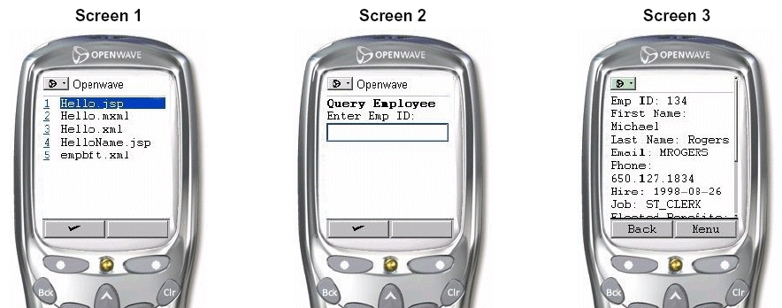 Description of wireless_screens_1.gif follows