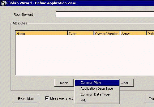 Publish Wizard - Define Application View dialog box