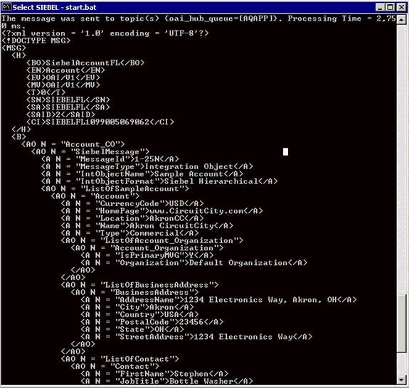 Publishing adapter (SIEBELFL) console log