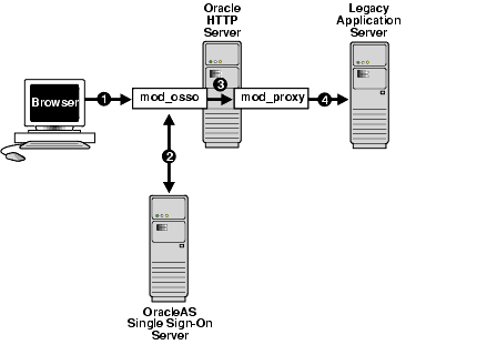 Description of ssoag011.gif follows