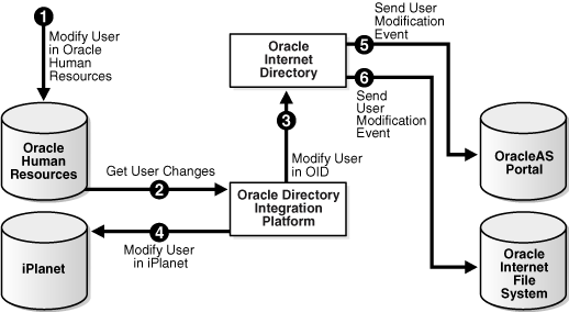 This illustration is described in the text.