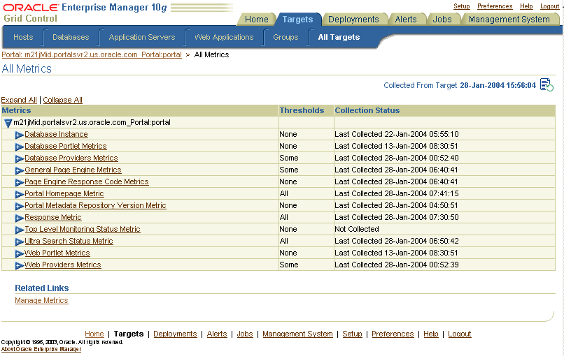 Description of cg_monit_sshot_console_metrics.gif follows