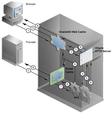 Description of cg_prtl_mtier_flow.gif follows