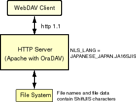 Description of ora_nls_filesys.gif follows