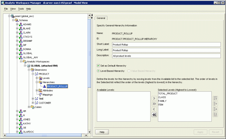 Analytic Workspace Manager Model View