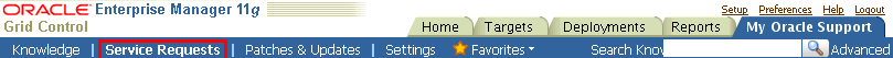 graphic highlights the Service Request tab.