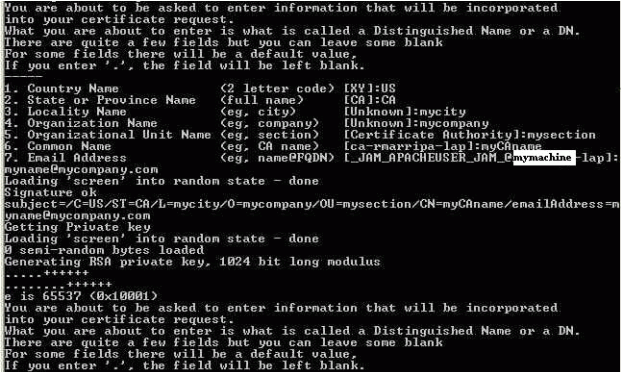 Install Output