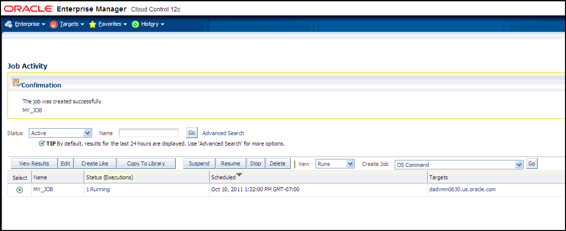Screen capture of Job Activity page. One job displayed.