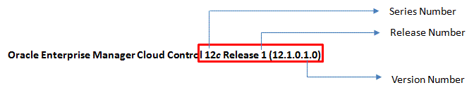 Enterprise Manager Platform Release Number Format