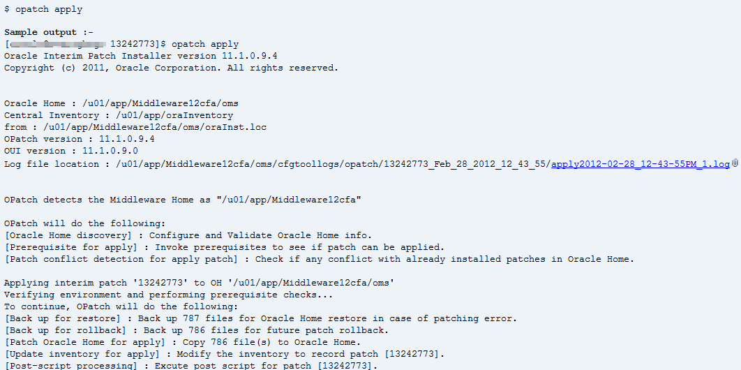 opatch apply sample output