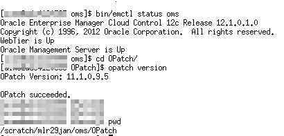 opatch status