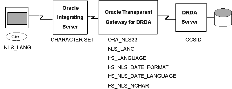 Description of nls_01.gif follows