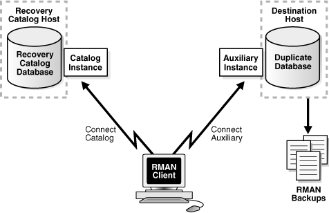 Description of Figure 25-3 follows