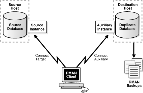 Description of Figure 25-5 follows