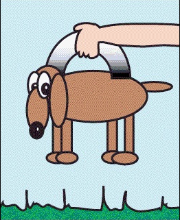 Description of "Figure A-4 dog_magnet.png image referenced in Pet.html" follows