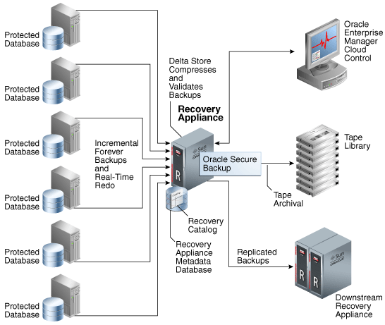 Description of Figure 20-4 follows