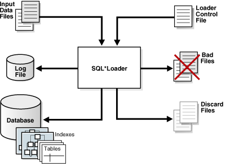 Description of Figure 20-1 follows