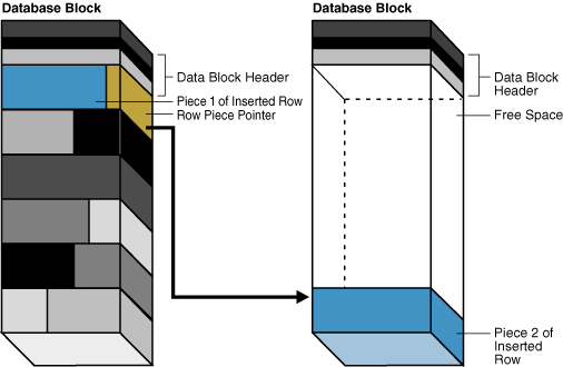 Description of Figure 12-12 follows