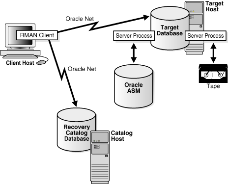 Description of Figure 20-3 follows