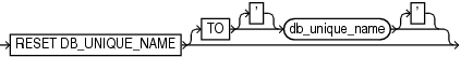 Description of resetdbuniquenameoption.gif follows