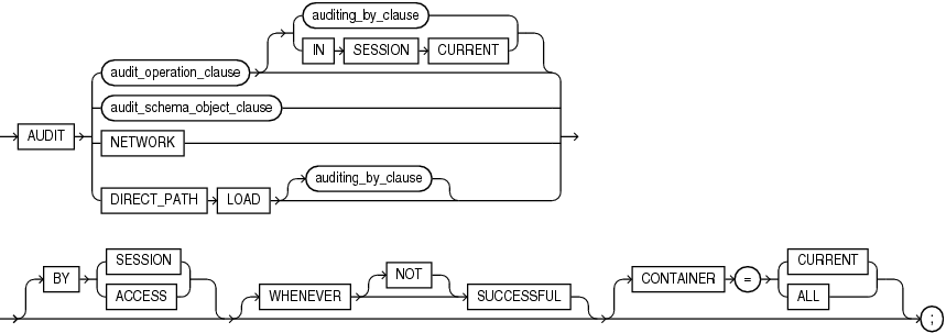 Description of audit.gif follows