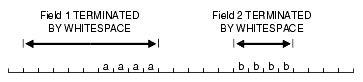 Description of "Figure 10-5 Fields Terminated by Whitespace" follows