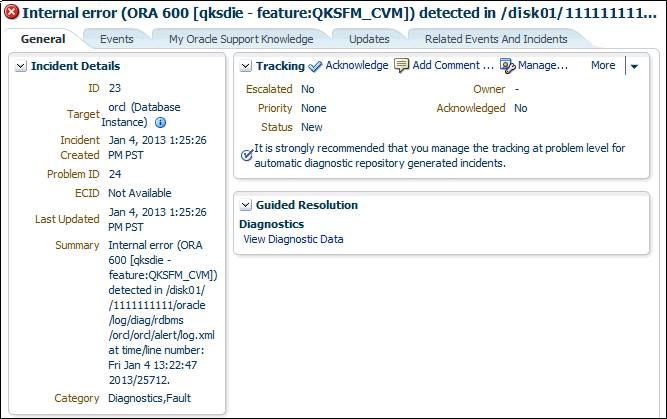 Description of incident_details.gif follows