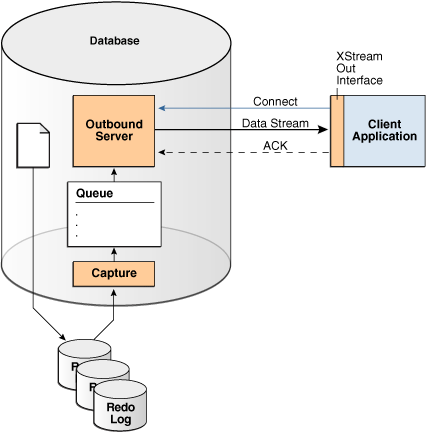 Description of Figure 1-1 follows