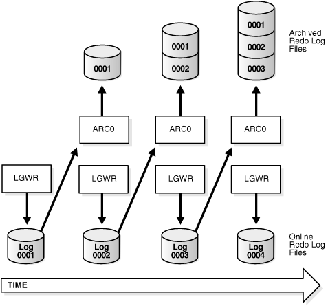 Description of Figure 12-1 follows Description of Figure 12-1 follows